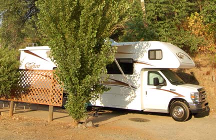 A motorhome parked on a pull-through site beneath oak trees